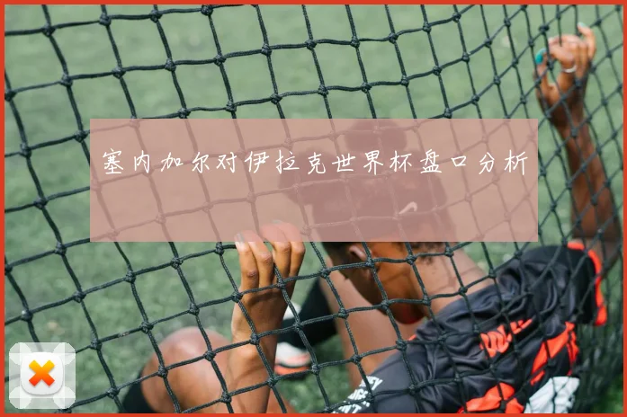 塞内加尔对伊拉克世界杯盘口分析