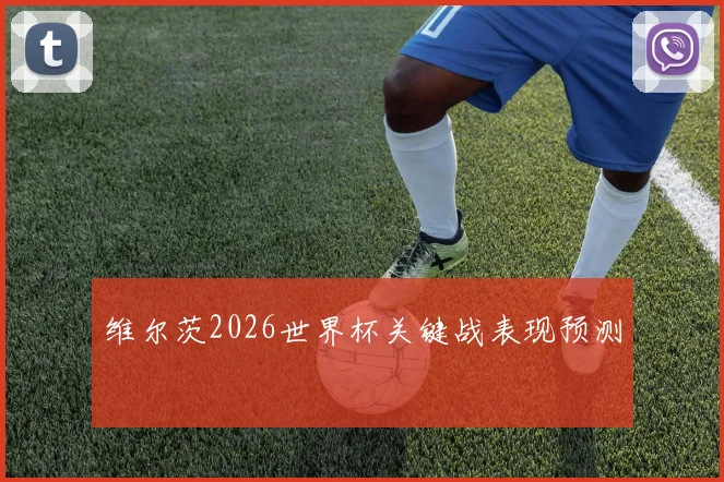 维尔茨2026世界杯关键战表现预测