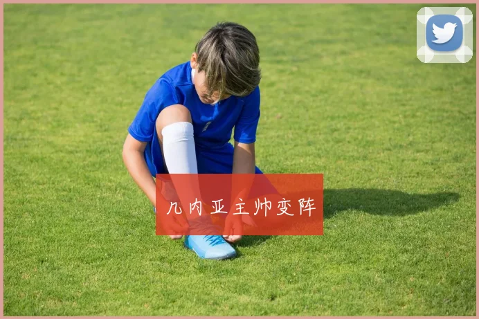 几内亚主帅变阵