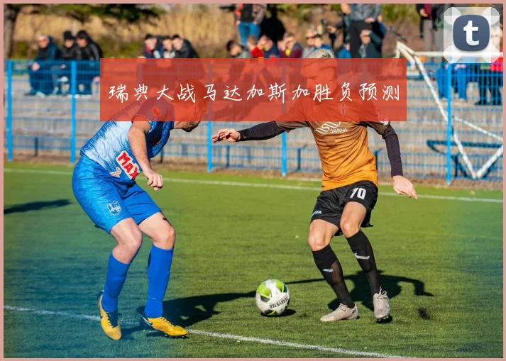瑞典大战马达加斯加胜负预测