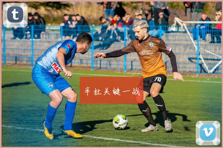 辛杜关键一战