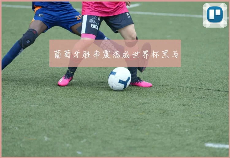 葡萄牙胜率震荡成世界杯黑马