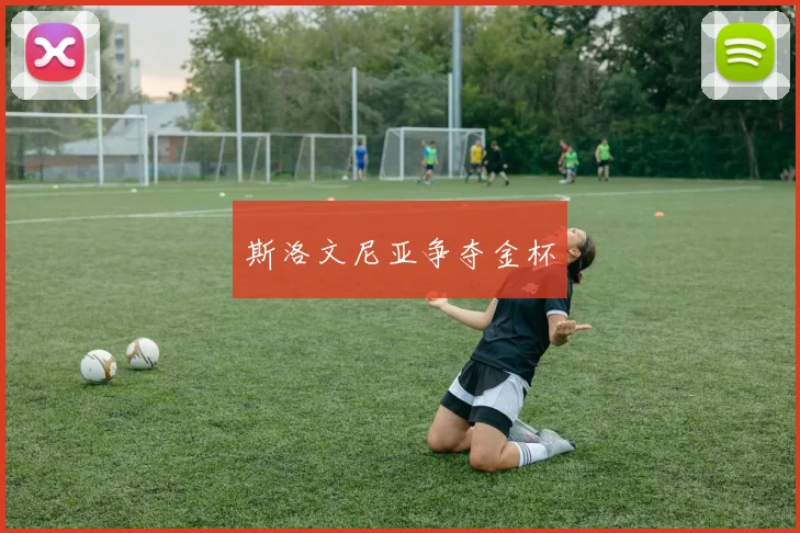 斯洛文尼亚争夺金杯