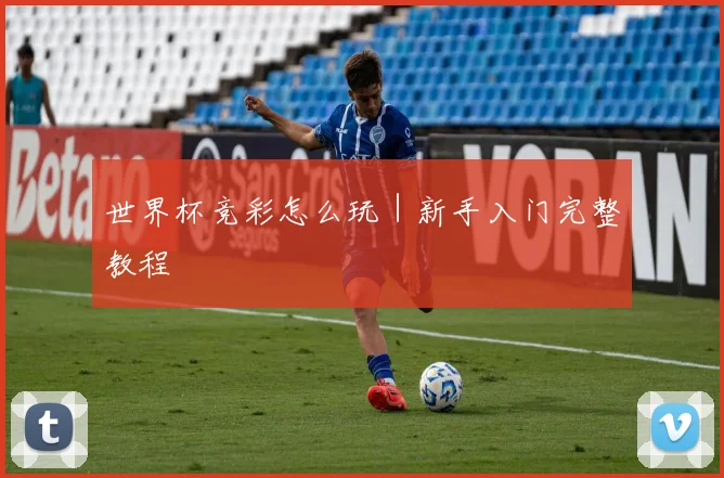世界杯竞彩怎么玩｜新手入门完整教程
