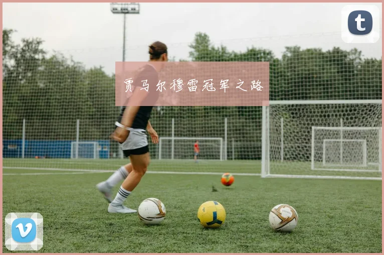 贾马尔穆雷冠军之路