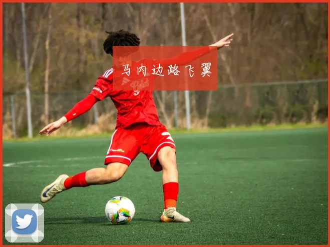 马内边路飞翼