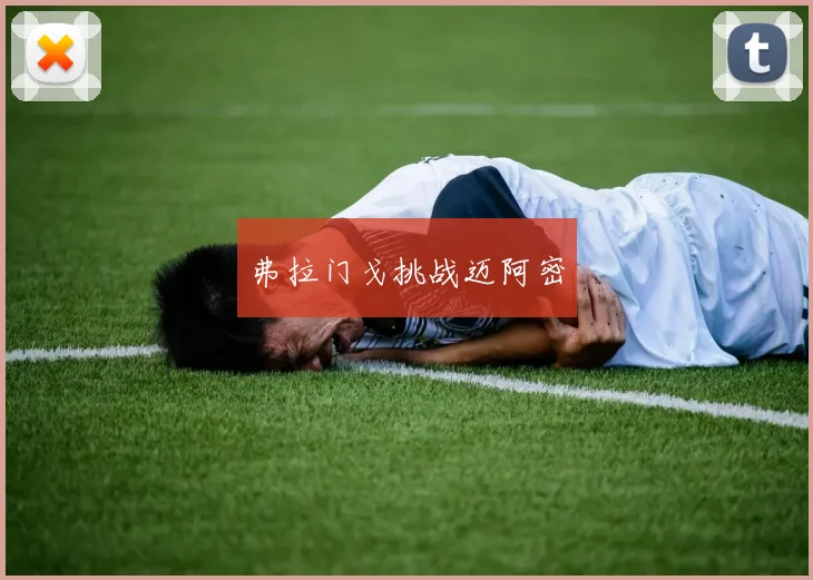 弗拉门戈挑战迈阿密