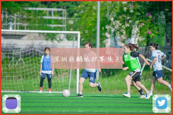 深圳新鹏城杯赛焦点