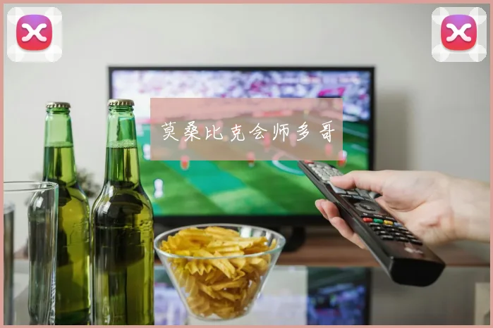 莫桑比克会师多哥