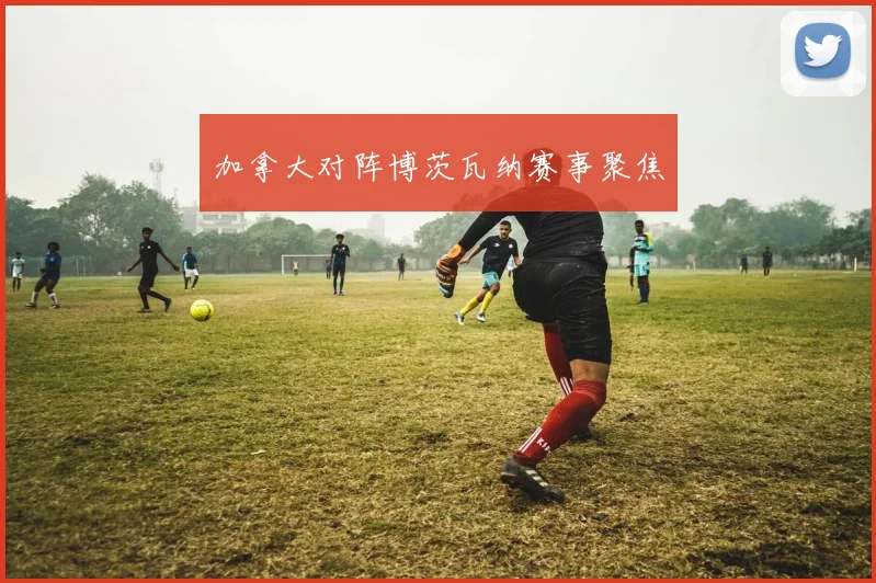 加拿大对阵博茨瓦纳赛事聚焦