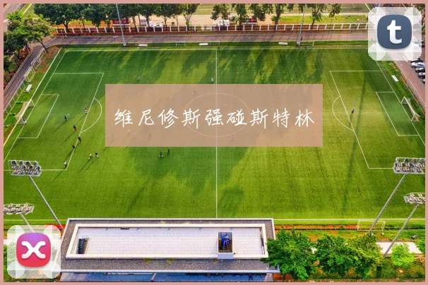 维尼修斯强碰斯特林