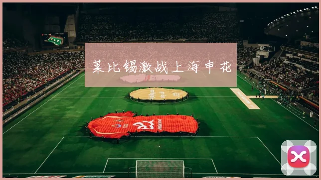 莱比锡激战上海申花