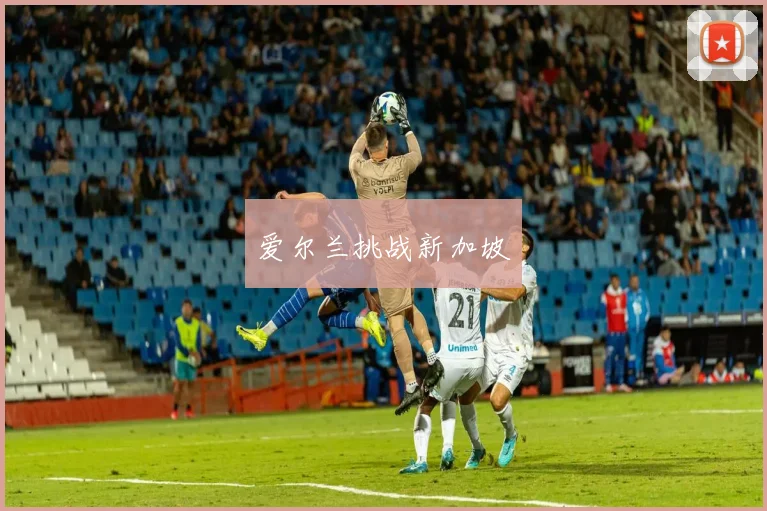 爱尔兰挑战新加坡