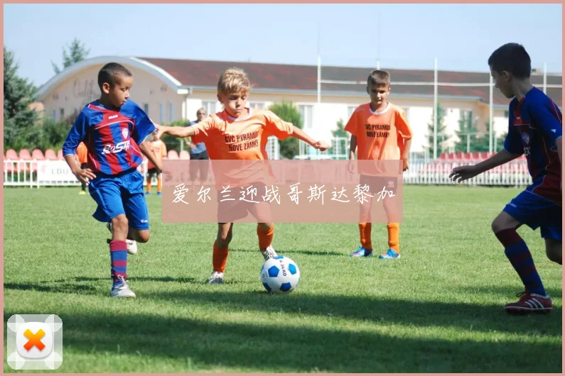爱尔兰迎战哥斯达黎加