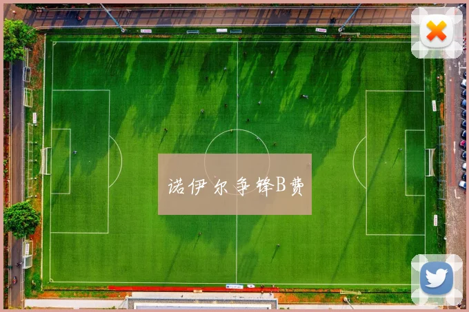 诺伊尔争锋B费