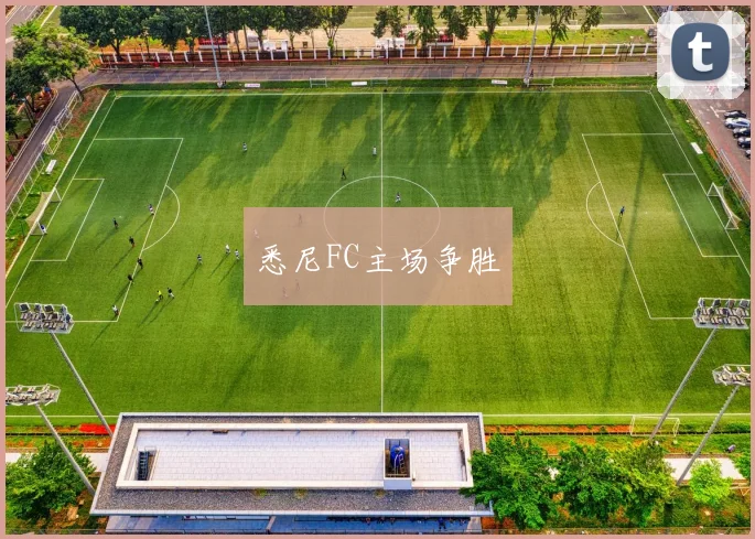 悉尼FC主场争胜