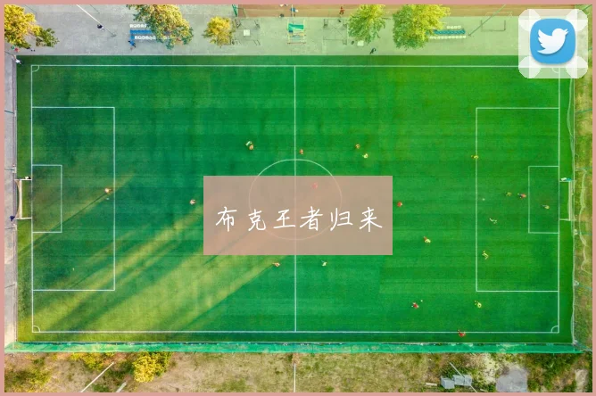 布克王者归来