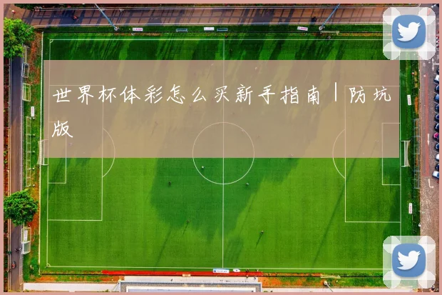 世界杯体彩怎么买新手指南｜防坑版